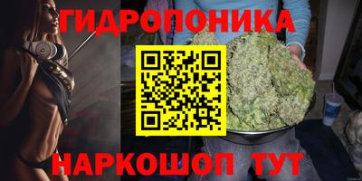 крисы Гусиноозёрск