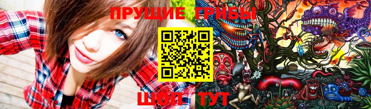 Псилоцибиновые грибы GOLDEN TEACHER Лыткарино