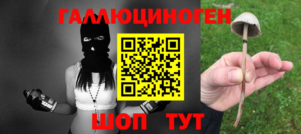 Псилоцибиновые грибы ЛСД  Вход с VPN  Лыткарино 